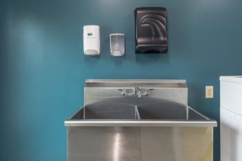 Pet spa area